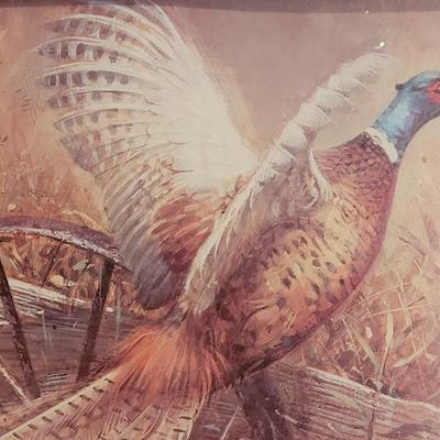 Lot 144: Vintage Pheasant Framed Print