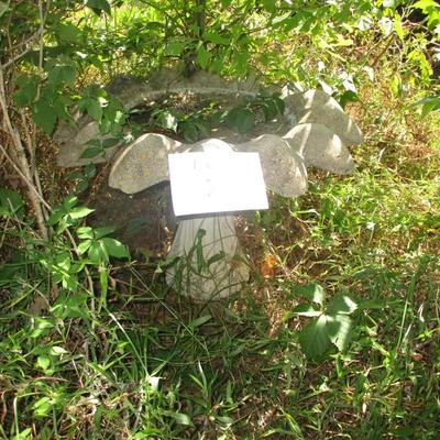 Birdbath