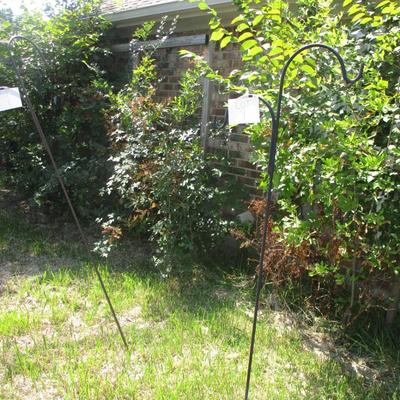 2 Shephard Hooks