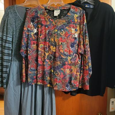 Women's Dresses, Skirts, & Blouses Size M-XL by LizSport, Amanda Stewart and More (B3C-JS)