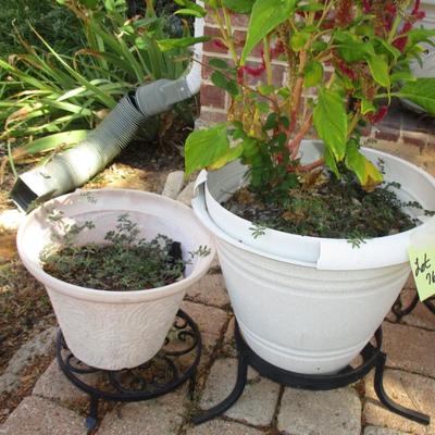3 Plastic Flower Pots and Stands