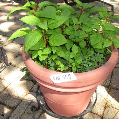 3 Flower Pots& Stands