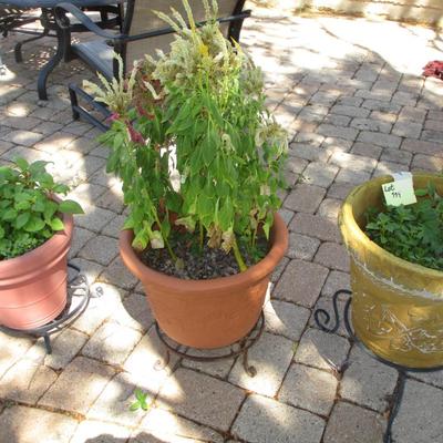 3 Flower Pots& Stands