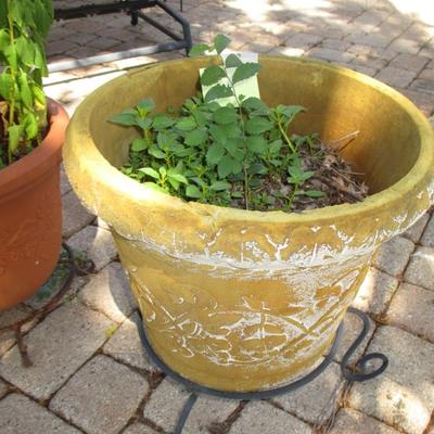 3 Flower Pots& Stands