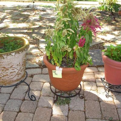 3 Flower Pots& Stands