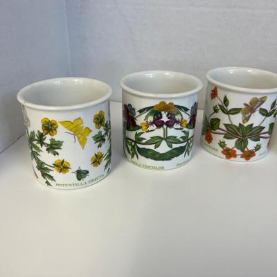 6267 Set of 6 Portmeirion Botanical Garden Small Mugs