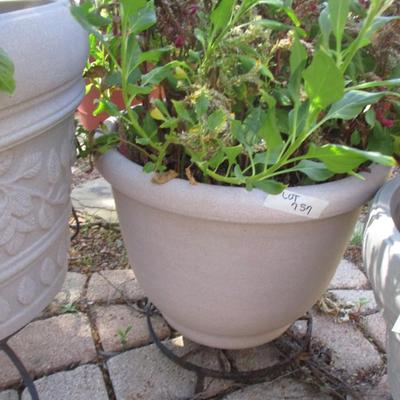 3 Large Flower Pots & Stands