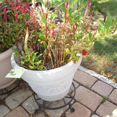 3 Large Flower Pots & Stands