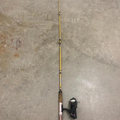 fishing pole with reel