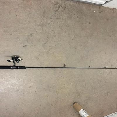 fishing rods and reels