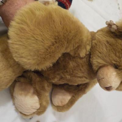 Unlimited Bear Hugs limited and Charles the softy bear.