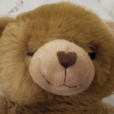 Unlimited Bear Hugs limited and Charles the softy bear.