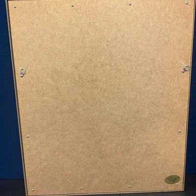 23 1/2â€ x 27 1/2â€ Picture