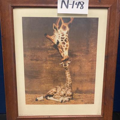 19 3/4â€ x  24â€ Giraffe Picture