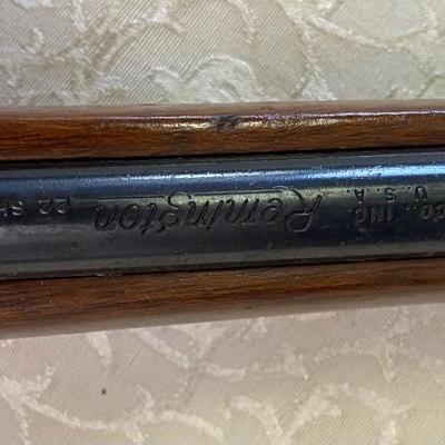 Remington Model 580  22 shorts, longs or long rifle
