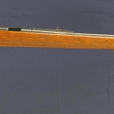 Remington Model 580  22 shorts, longs or long rifle