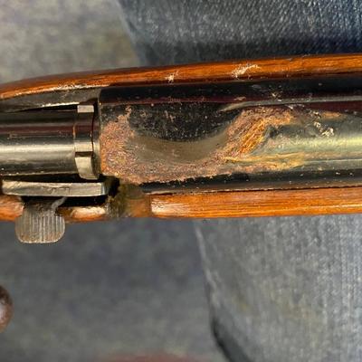 Remington Model 580  22 shorts, longs or long rifle
