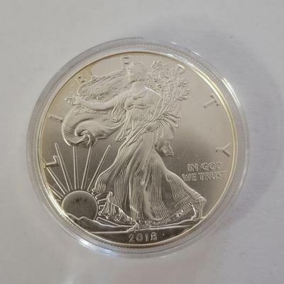 2018 Silver eagle