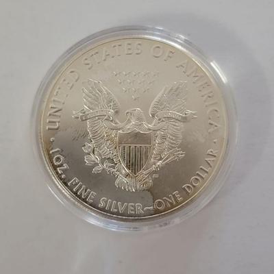 2018 Silver eagle
