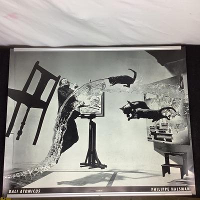 6374 Philippe Halsman Poster Print 1988 "Dali Atomicus"