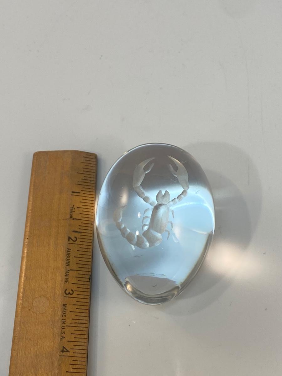 Scorpion Etched Glass Egg Orb