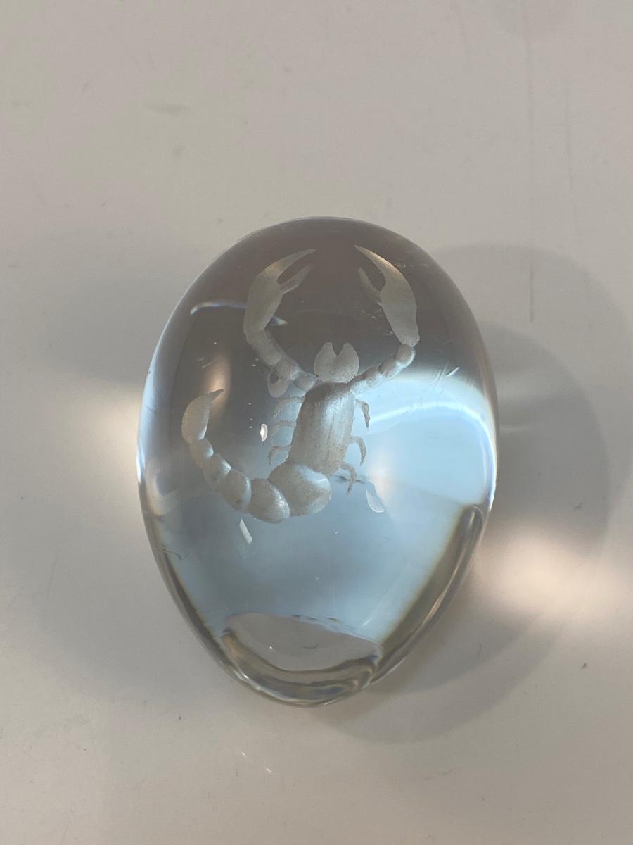 Scorpion Etched Glass Egg Orb