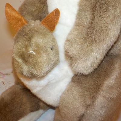 Momma and her baby Kangaroo from Australia.