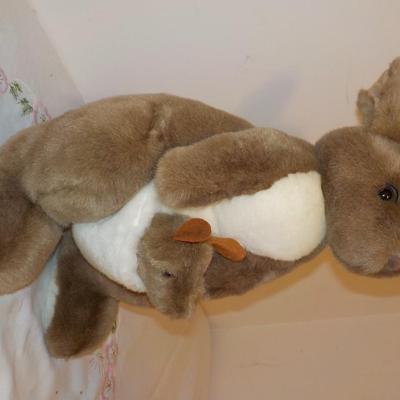 Momma and her baby Kangaroo from Australia.
