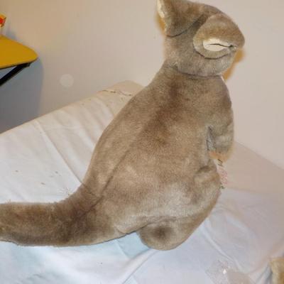Momma and her baby Kangaroo from Australia.