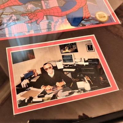 Lot #49  Limited Edition Spiderman Sericel - handsigned by Stan Lee w/COA