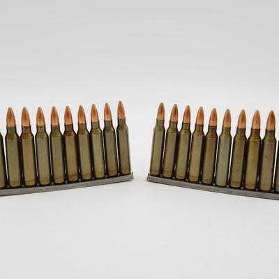 223 REMINGTON AMMO - #1