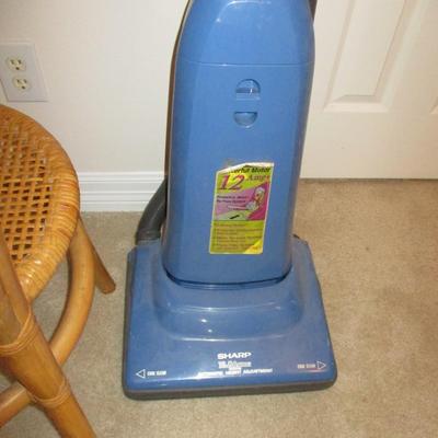 Bamboo Chair/Vacuum Cleaner