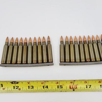 .223 REMINGTON AMMO - #2