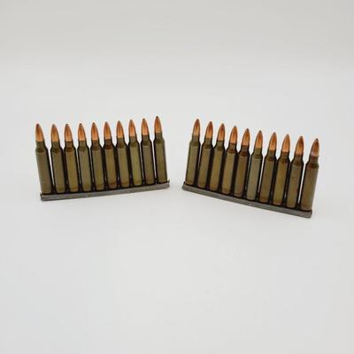 223 REMINGTON AMMO - #3