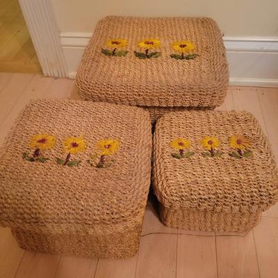 Set of Three Nesting Sea Grass Lidded Baskets (BR1-DW)