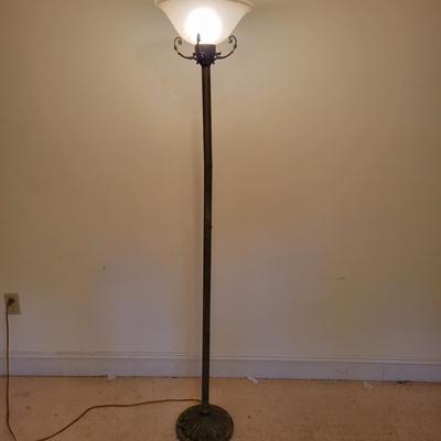 Metal Floor Lamp (DBR-DW)