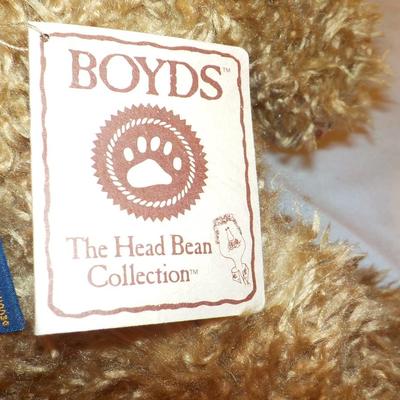" Boyd's Head Bean Collector".