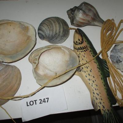 Nautical Decor--Seashells/Fish