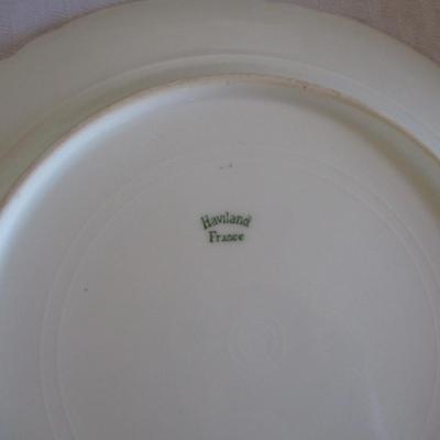 Haviland  Dinner Plates