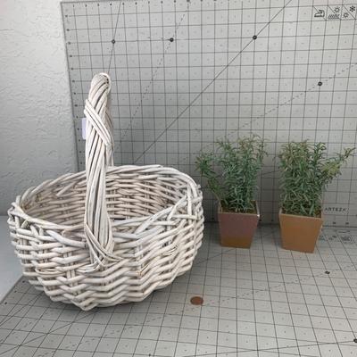 #167 Decorative Plants & Basket