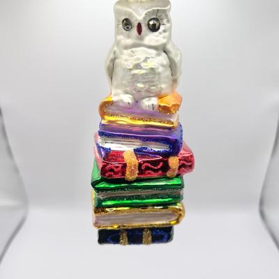 1238 Christopher Radko 1996 Hoo Dunnit Owl Glass Ornament