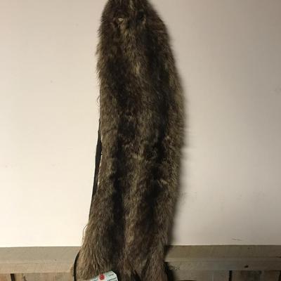 VINTAGE RACCOON PELT