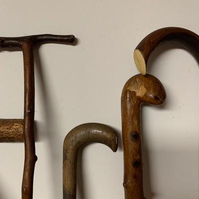 WALKING STICK GROUP