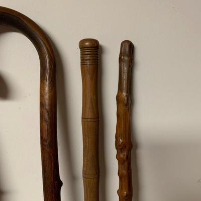 WALKING STICK GROUP