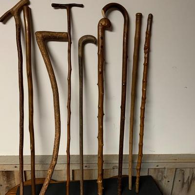 WALKING STICK GROUP