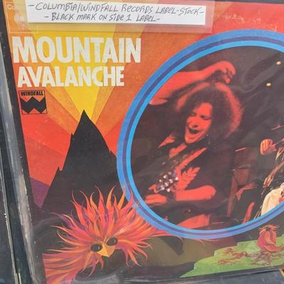 Large Classic Rock LP Lot Mountain