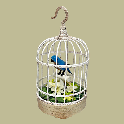 Birdcages
