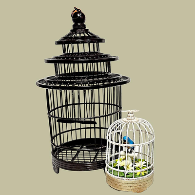Birdcages