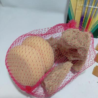 PAINT BRUSHES AND SPONGE LOT