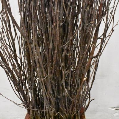 Tall Potted Twig Decor in Heavy Ceramic Red Pot, 56" Tall